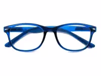 Salamandra Colors Blue